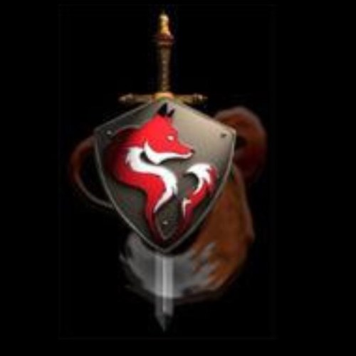 F0xKnight's profile picture. 