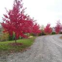 Brett Dixon - @brett_dixon - Twitter