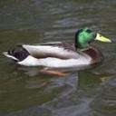 Mark Allard - @MarkAllard4 - Twitter