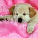 Kim Drees - @drees_kim - Twitter