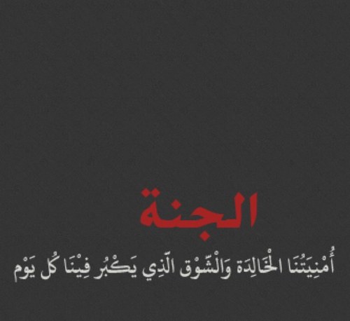 NMDS78's profile picture. 