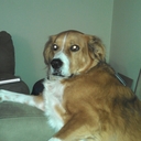 Jonathan Moore - @jmoorecu88 - Twitter