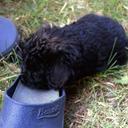 Uwe Roeder - @roeder_uwe - Twitter