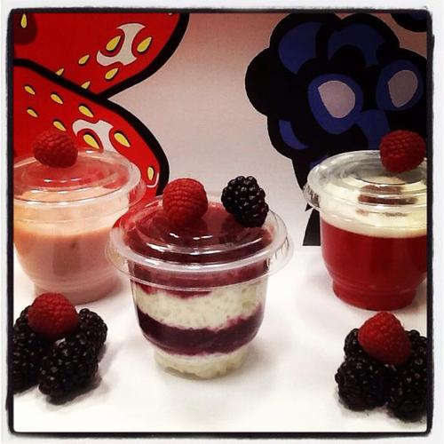 Milseogdesserts's profile picture. Company specialising in Chilled Desserts..
(This is a fictional company/Page!!)