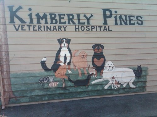 Kimberly Pines Veterinary Hospital is dedicated to your pet.