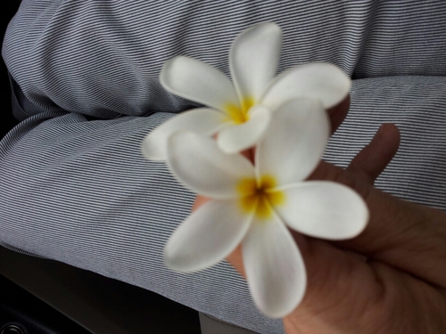 saporiticarla's profile picture. 