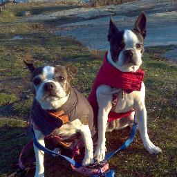 csuke4th's profile picture. 