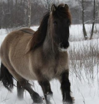 BijWilleke's profile picture. Ik creeer vanuit het moment en de emotie van de dag. Dit is in mijn beelden, schilderijen en combinaties te zien Ook ontwikkel ik graag gebruikersgoed