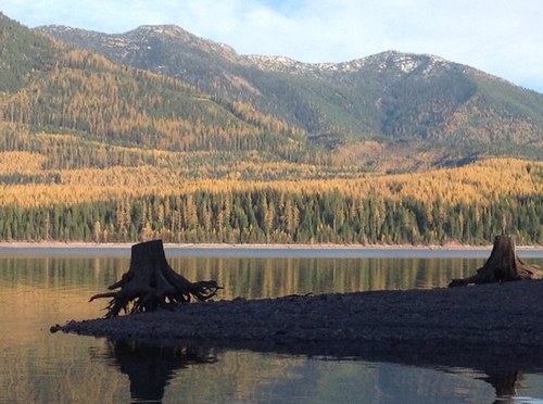 Helping feed the world by raising wheat and pulse crops in Montana’s Golden Triangle