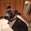 rocco longo - @rlongoins - Twitter