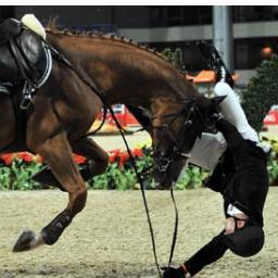 ProbzEquestrian's profile picture. Issues that every equestrian can relate to.