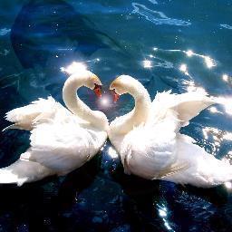 || Dagelijkse liefdestweets&fotos in je TimeLine! || Ook in ons beheer : @Eerlijketiener & @Heyispeakteen ||