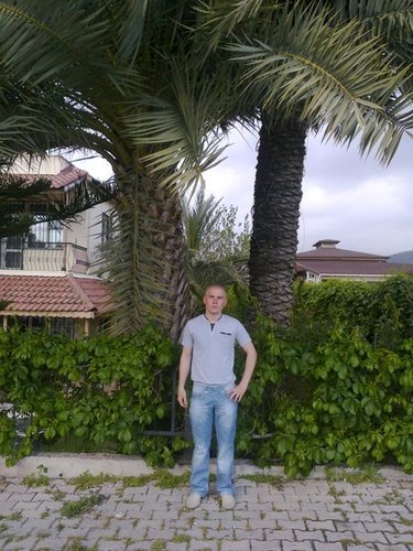 Ilya_basarab's profile picture. 