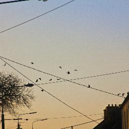 feerickreunion's profile picture. The Feerick Clan gathered in Mayo in 2013. We joined stories of migrations and heritage, of our ancient connections to the West of Ireland & to each other.