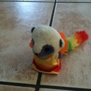 Sabrina Christopher - @SabrinaChristo2 - Twitter