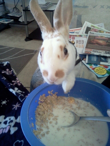 AshHut23's profile picture. 