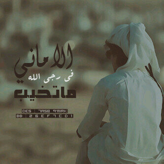 abdallahamir2's profile picture. 