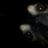 ecoc2's profile image