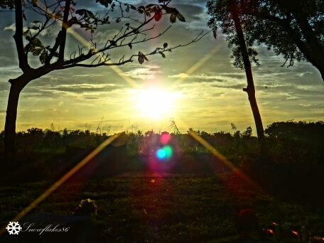 1300hope's profile picture. 