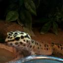 Alex Cupples - @alex_cupples - Twitter