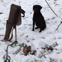 Dan Marshall (@got_the_awn) 's Twitter Profile