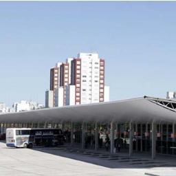 TerminalMDP's profile picture. 