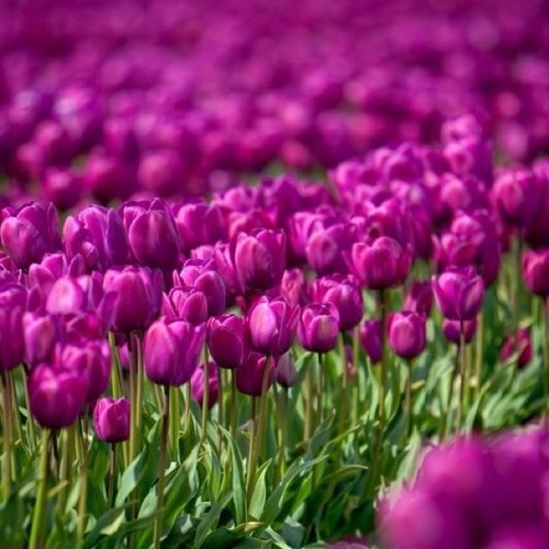 sweetnakali's profile picture. See my Website