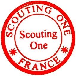 Talent Scout/ Models agent