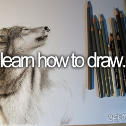 dimovich11's profile picture. 