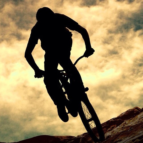 tStev's profile picture. 