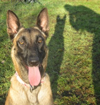 liafrancia74's profile picture. 