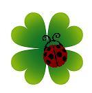 Jdboutique's profile picture. Josette Designer http://t.co/qUJwUkbbok sells 100% Authentic Designer Handbags and Accessories below retail price!