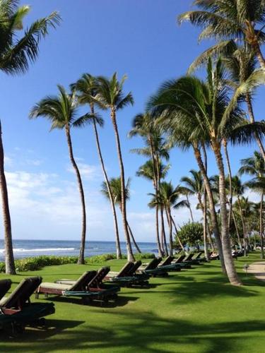 onlyfouryoureye's profile picture. 