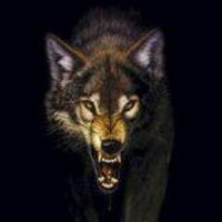 @onemanwufpack@techhub.social (@onemanwufpack) 's Twitter Profile
