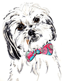 ymileslnwq's profile picture. A Stylish Girl. A Fabulous Dog. A Fashionable Blog. Welcome to The House of Miles!