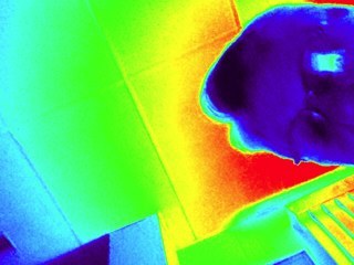 bananacatfish's profile picture. Love Cardiology, Love Retirement, love my ipad.