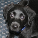 Ewan Hill - @HillEwan - Twitter