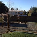 Dan Newburn - @Fosterdadnow - Twitter