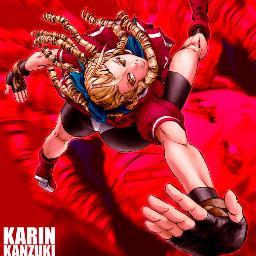 The only daughter of the Kanzuki Family. When the Kanzuki Zaibatsu recieves threats from Shadaloo.Karin then goes to pursue Shadaloo and defeat her rival Sakura