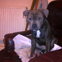 Bruce Cuthbert - @Brucejcuthbert - Twitter