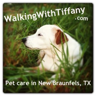 WalkingWithTiff's profile picture. Dog walker, pet sitter, paw lover, house watcher, plant waterer....
http://t.co/YqgukQu8