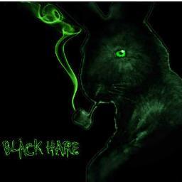 I play guitar in Black Hare...the rest is unimportant.