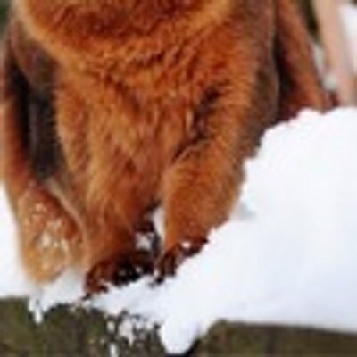 Profile Picture of Clementine Dixon (@DixonRoxanne) on Twitter