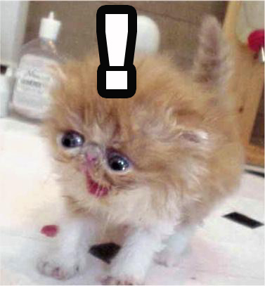 evadead's profile picture. 