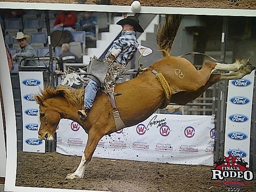 GM of Outlaw Buckers Rodeo, retired BB rider & Official twitter for Outlaw Buckers Rodeo Corp.