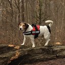 Peter Ley - @pmley - Twitter