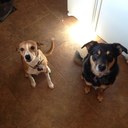 John Kappelman - @KappelmanJohn - Twitter