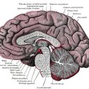 Mark Shoemaker - @2KidCharlemagne - Twitter