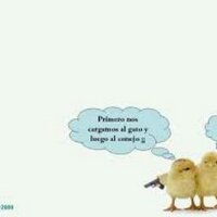 erwin (@el_poito) 's Twitter Profile