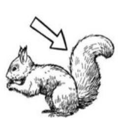 OachkatzlWTF's profile picture. For the purpose of better understanding between nations | Created by @EdinSasic